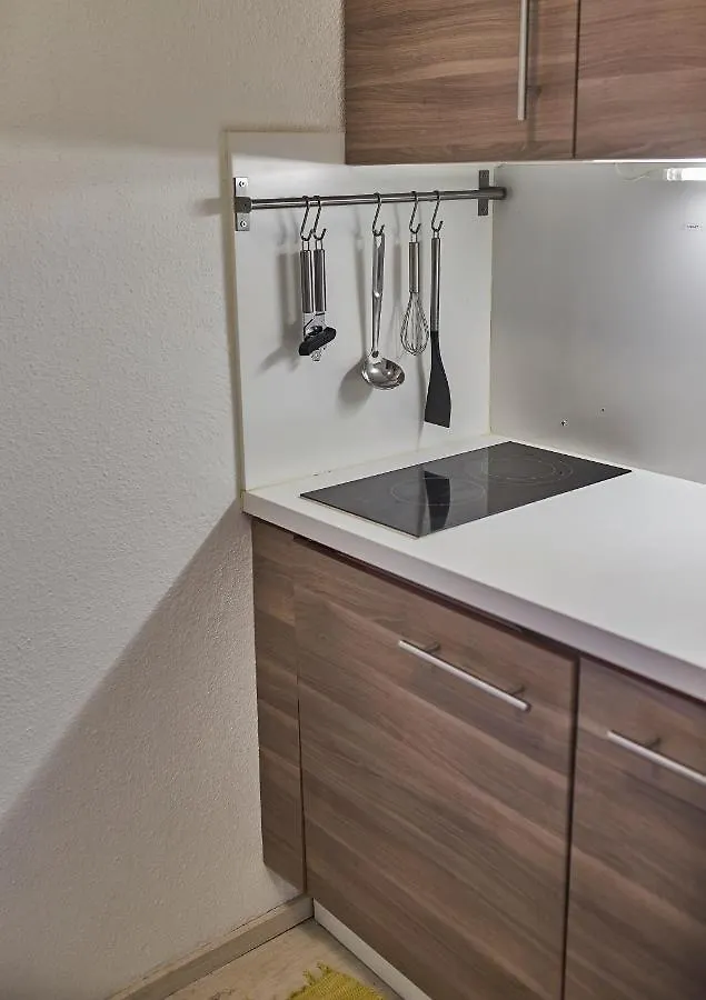 Appartement Brandt Saalbach-Hinterglemm Austria